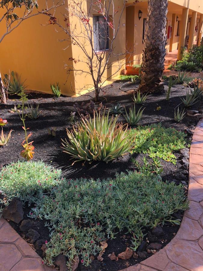 Casa Molly Apartment Corralejo Ngoại thất bức ảnh